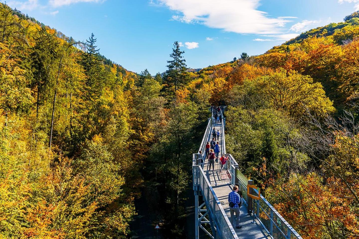 Bergliebe Daire Bad Harzburg Dış mekan fotoğraf