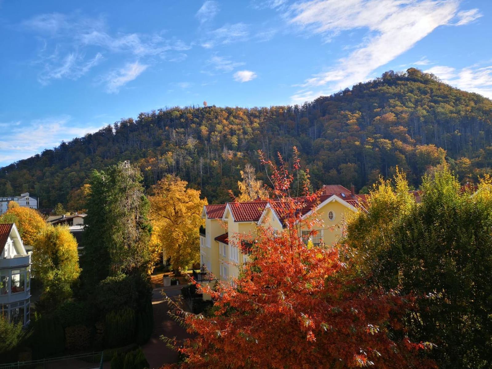 Bergliebe Daire Bad Harzburg Dış mekan fotoğraf